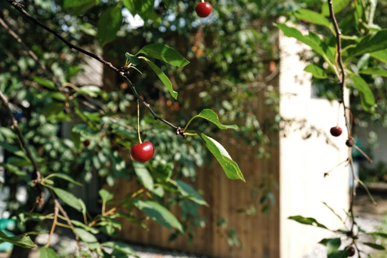 Вишнева Садиба Mys'ki Mlyny Exterior foto